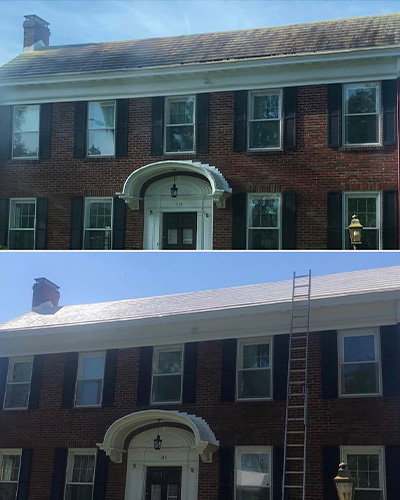 Savannah roof washing